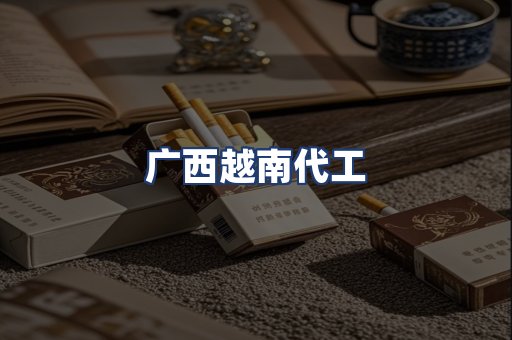 广西越南代工